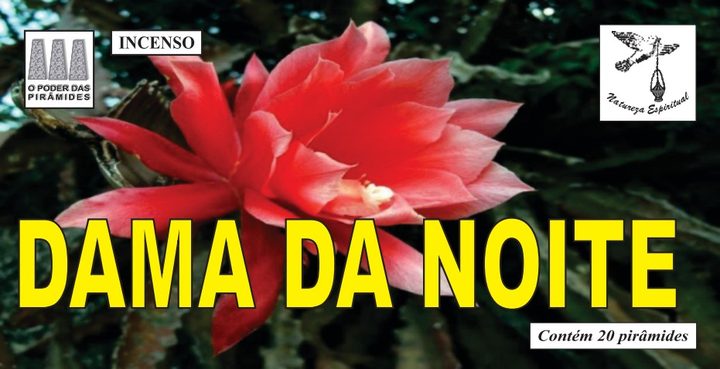 Incenso Dama da Noite Natureza Espiritual