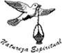 Selo Oficial Natureza Espiritual